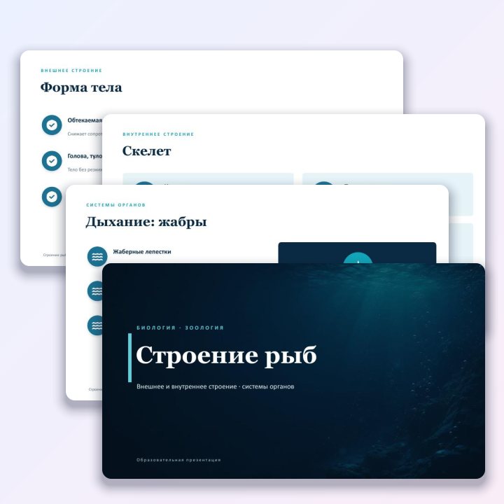 Строение рыб. Презентация по биологии для 7 класса